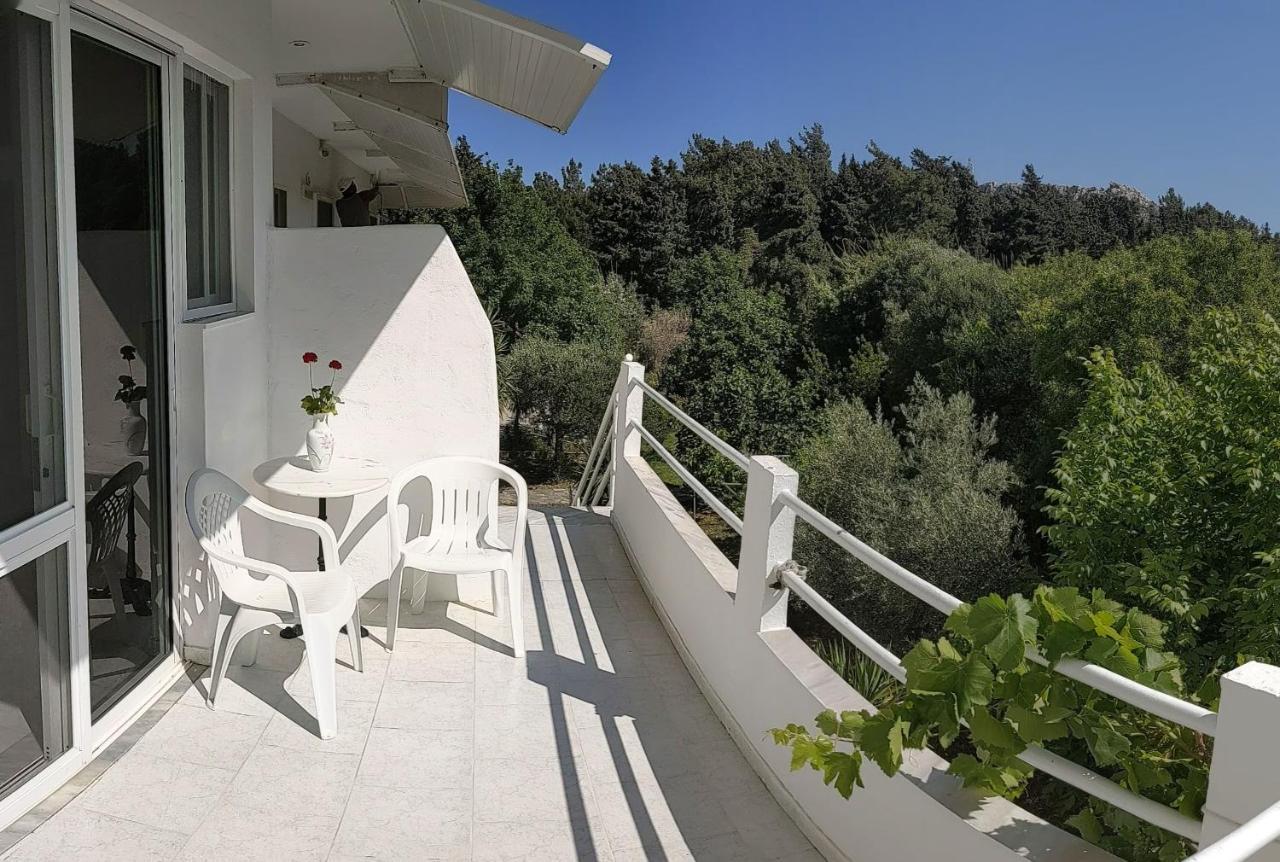 Artemis Studios - Pool And Garden Koskinou  Exteriér fotografie